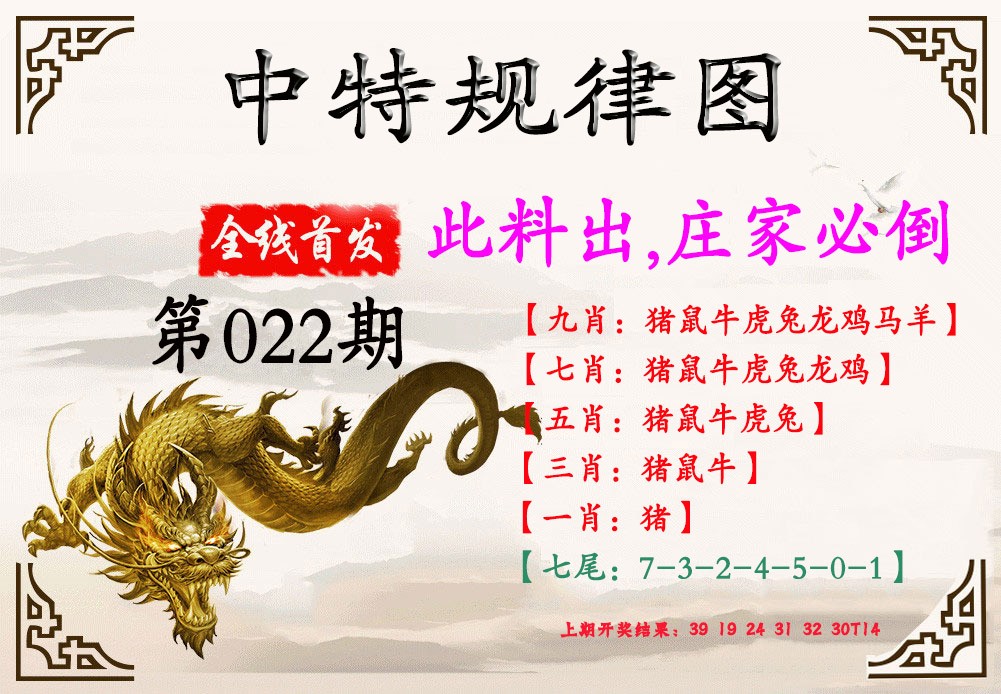 2025022期中特规律图