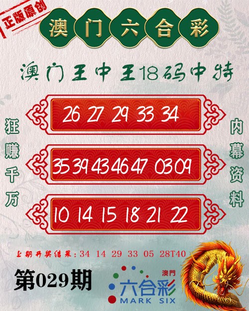 2025029期王中王18码