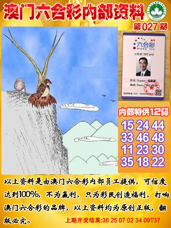 2025027期六合内部资料