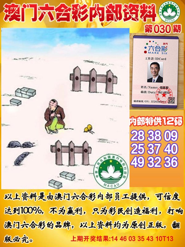 2025030期六合内部资料