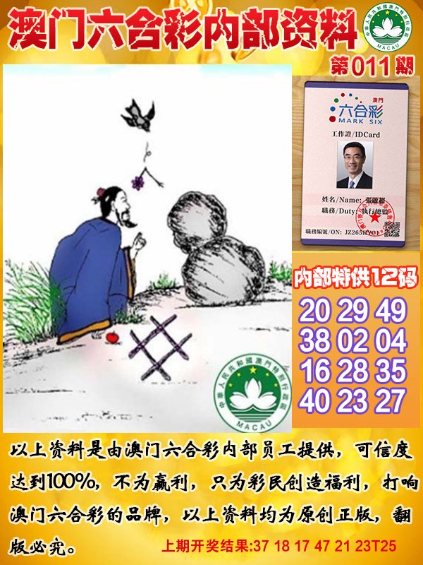 2025011期六合内部资料