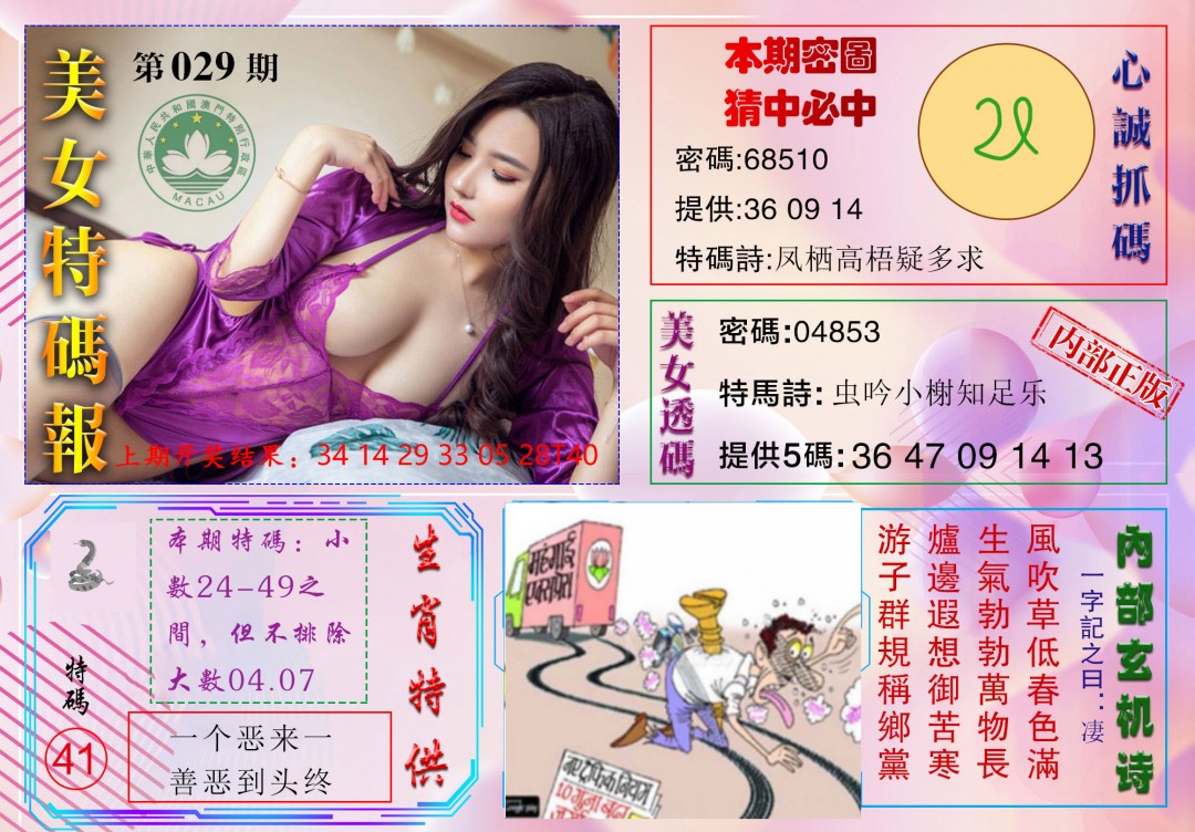 2025029期美女特码报
