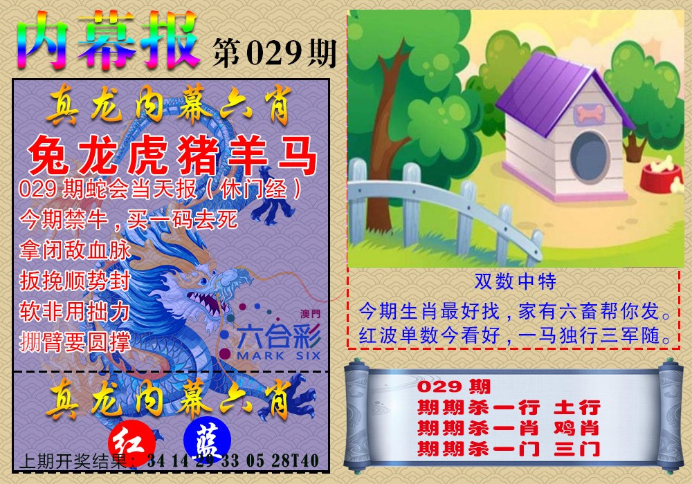2025029期真龙内幕报