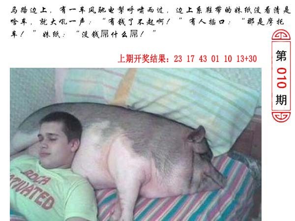 2025010期澳门生活幽默