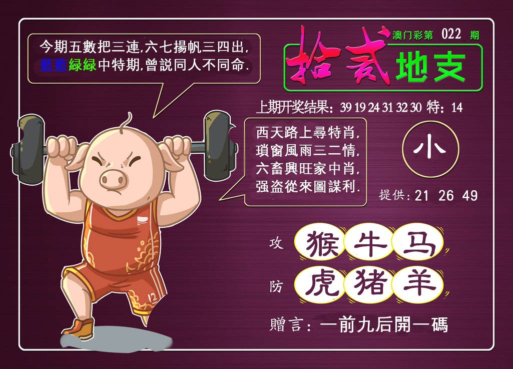 2025022期十二地支