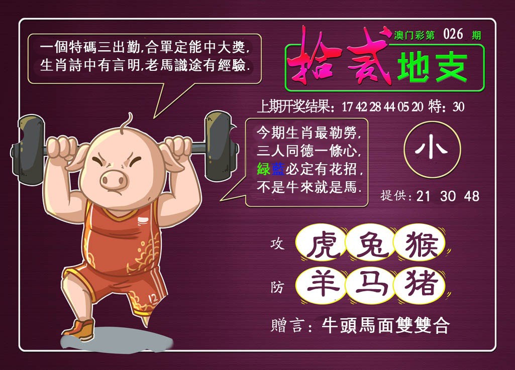 2025026期十二地支