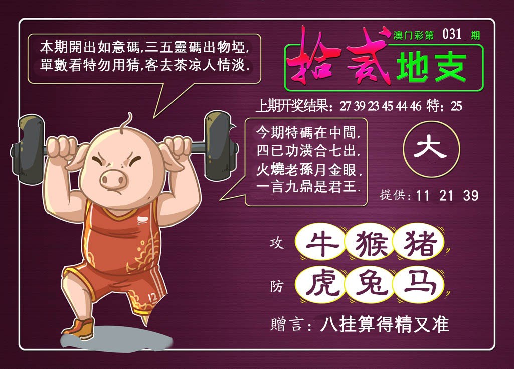 2025031期十二地支