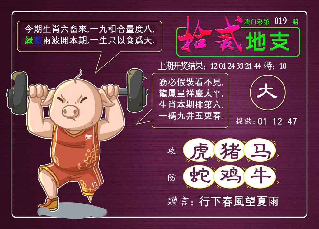 2025019期十二地支