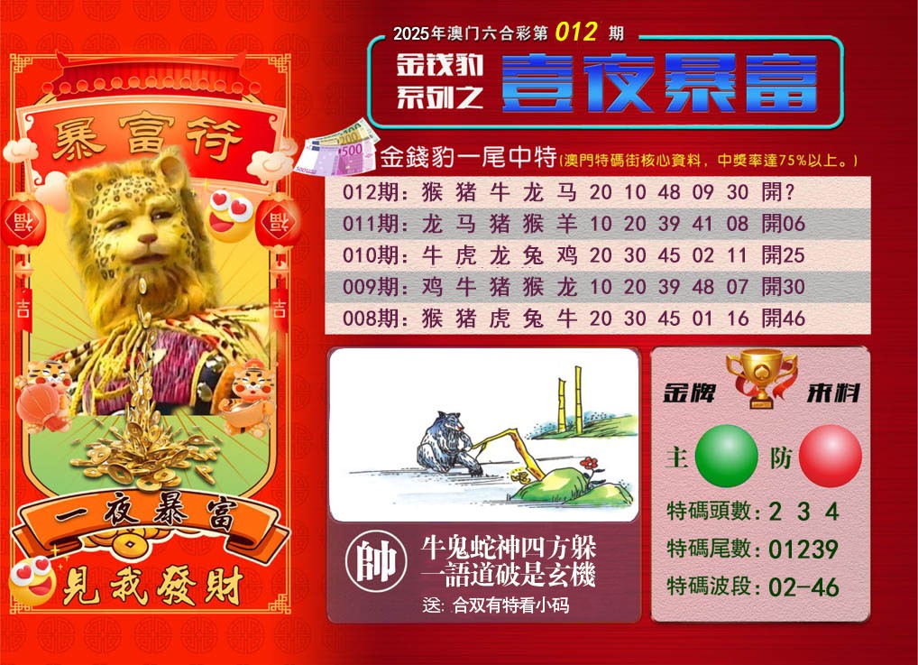2025012期一夜暴富