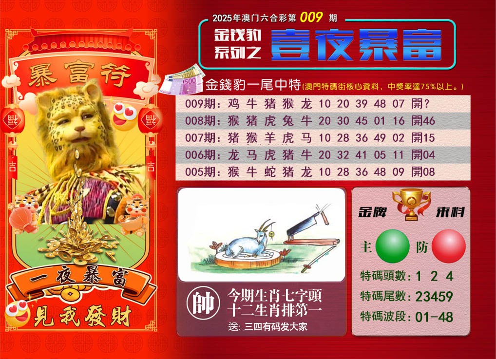 2025009期一夜暴富