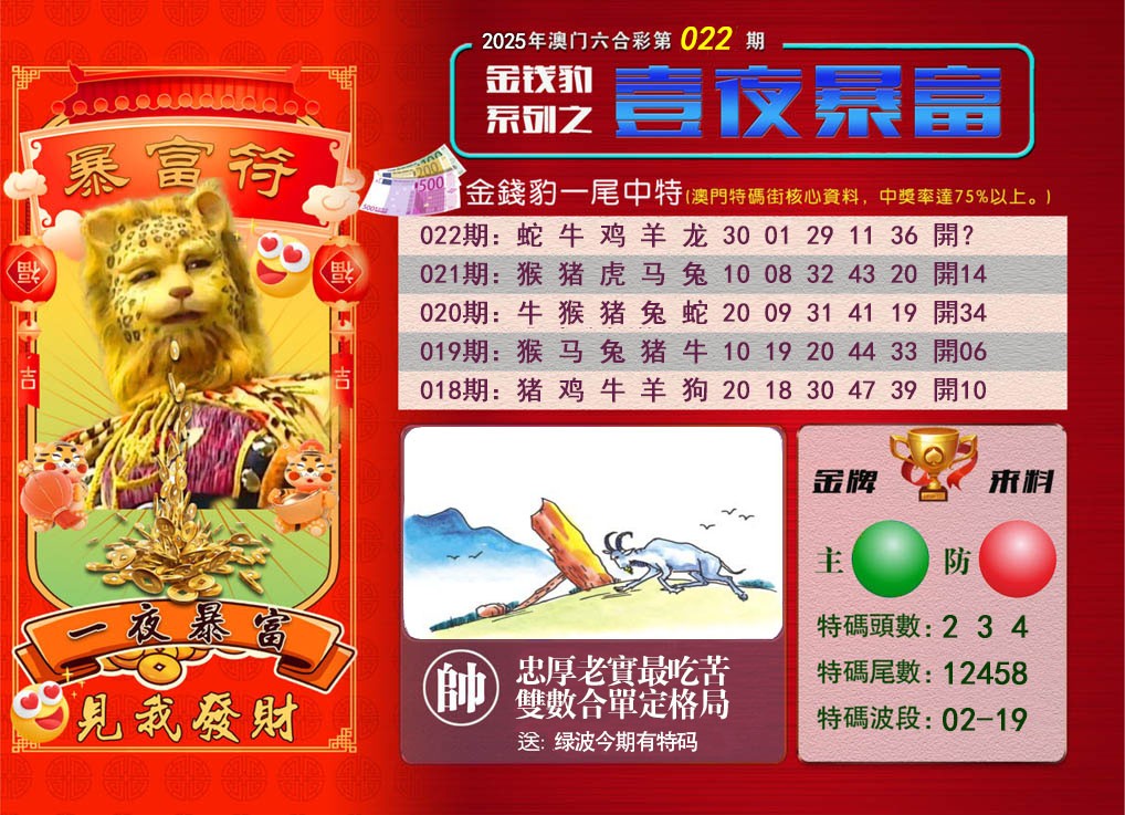 2025022期一夜暴富