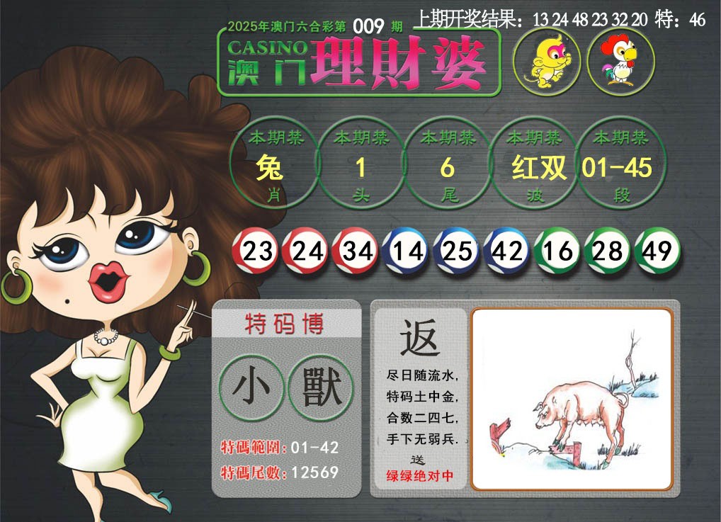 2025009期澳门理财婆