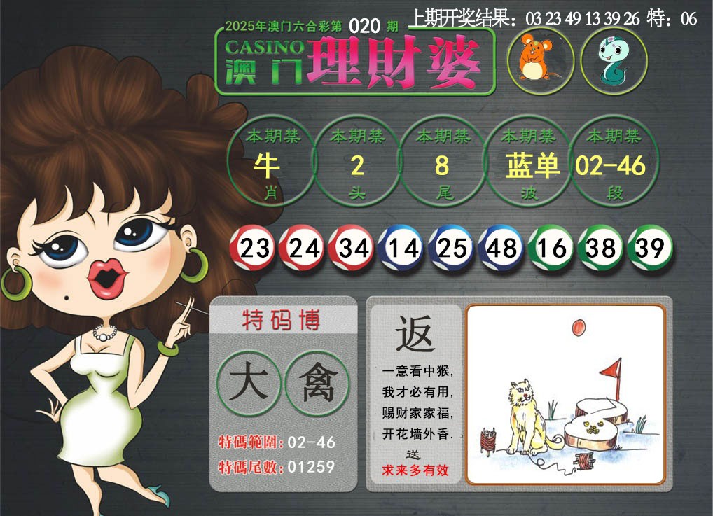 2025020期澳门理财婆