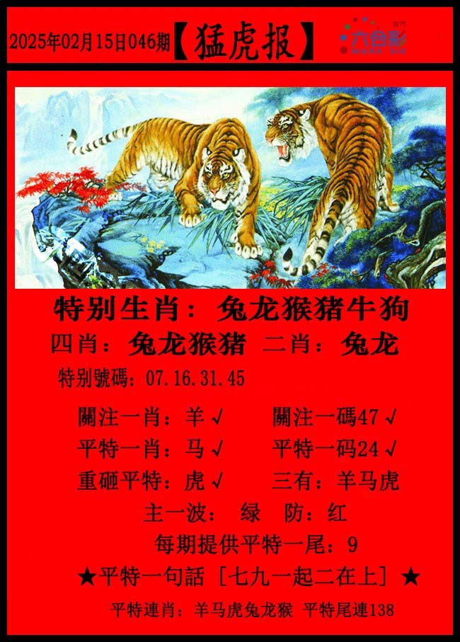 2025046期猛虎报