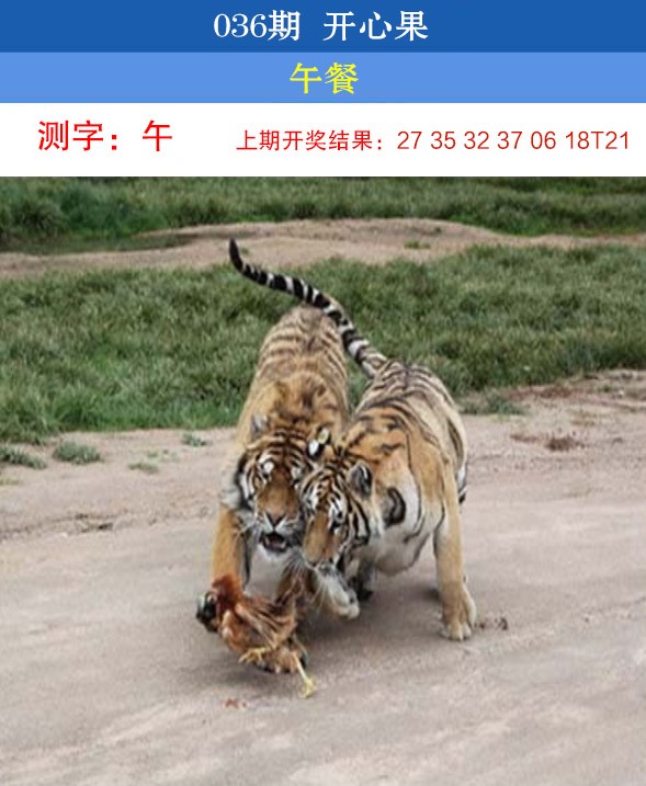 2025036期开心果