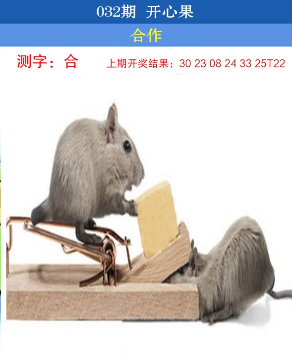 2025032期开心果