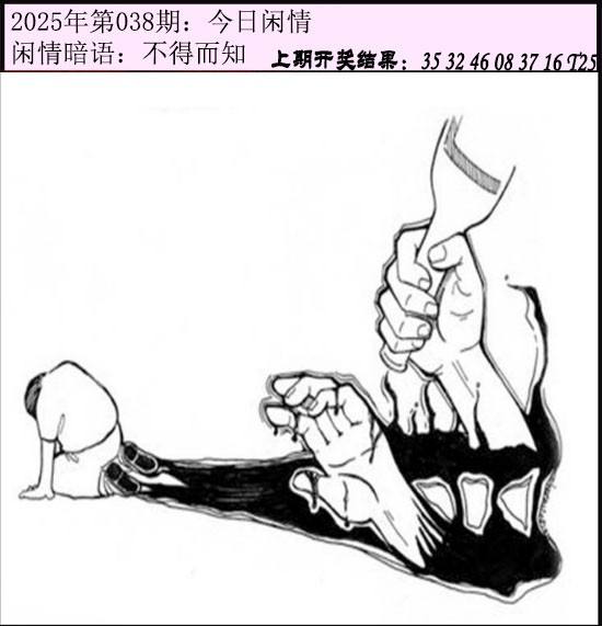 2025038期今日闲情