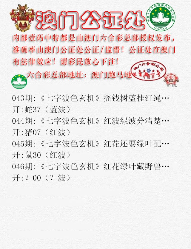 2025046期公证处B