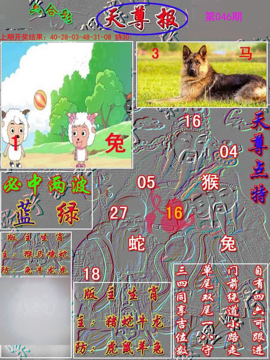 2025046期天尊报
