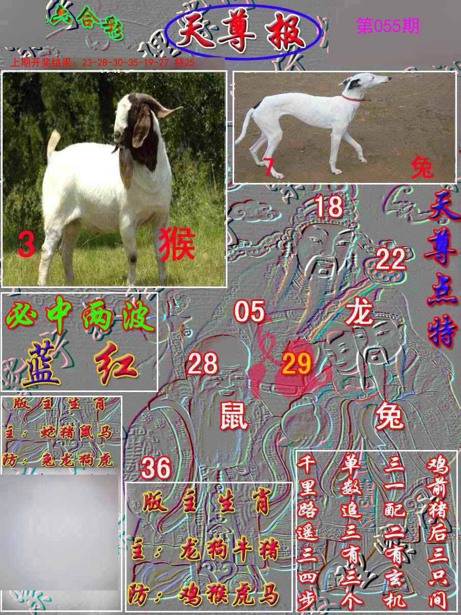 2025055期天尊报