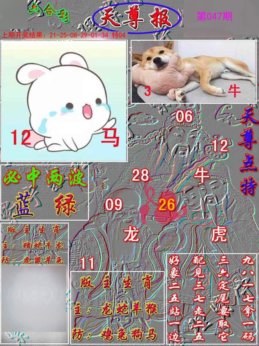 2025047期天尊报