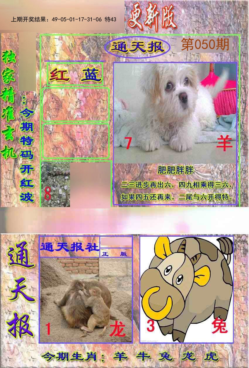 2025050期新通报