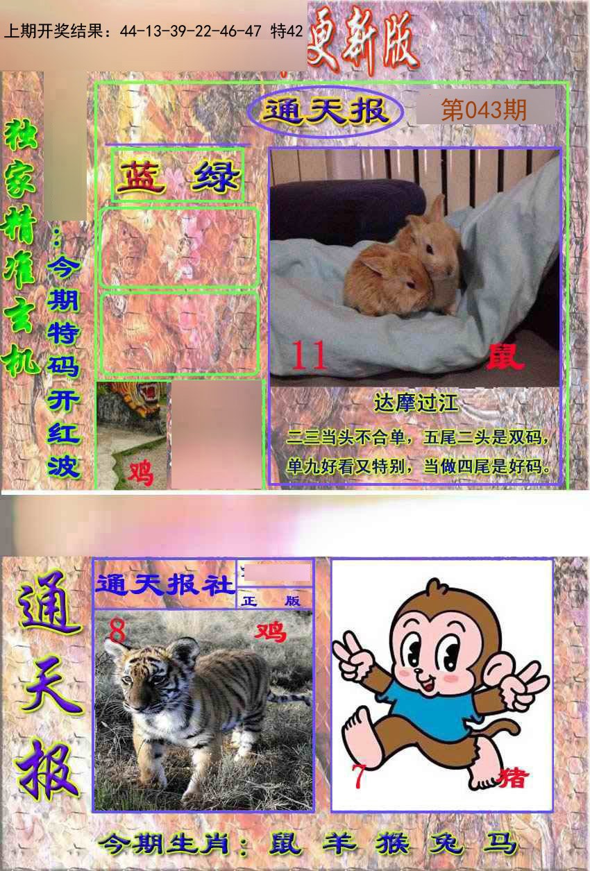 2025043期新通报