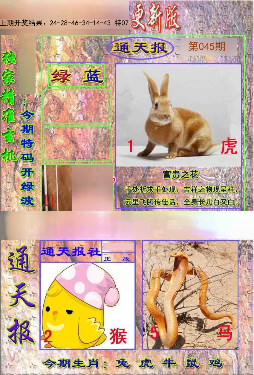 2025045期新通报