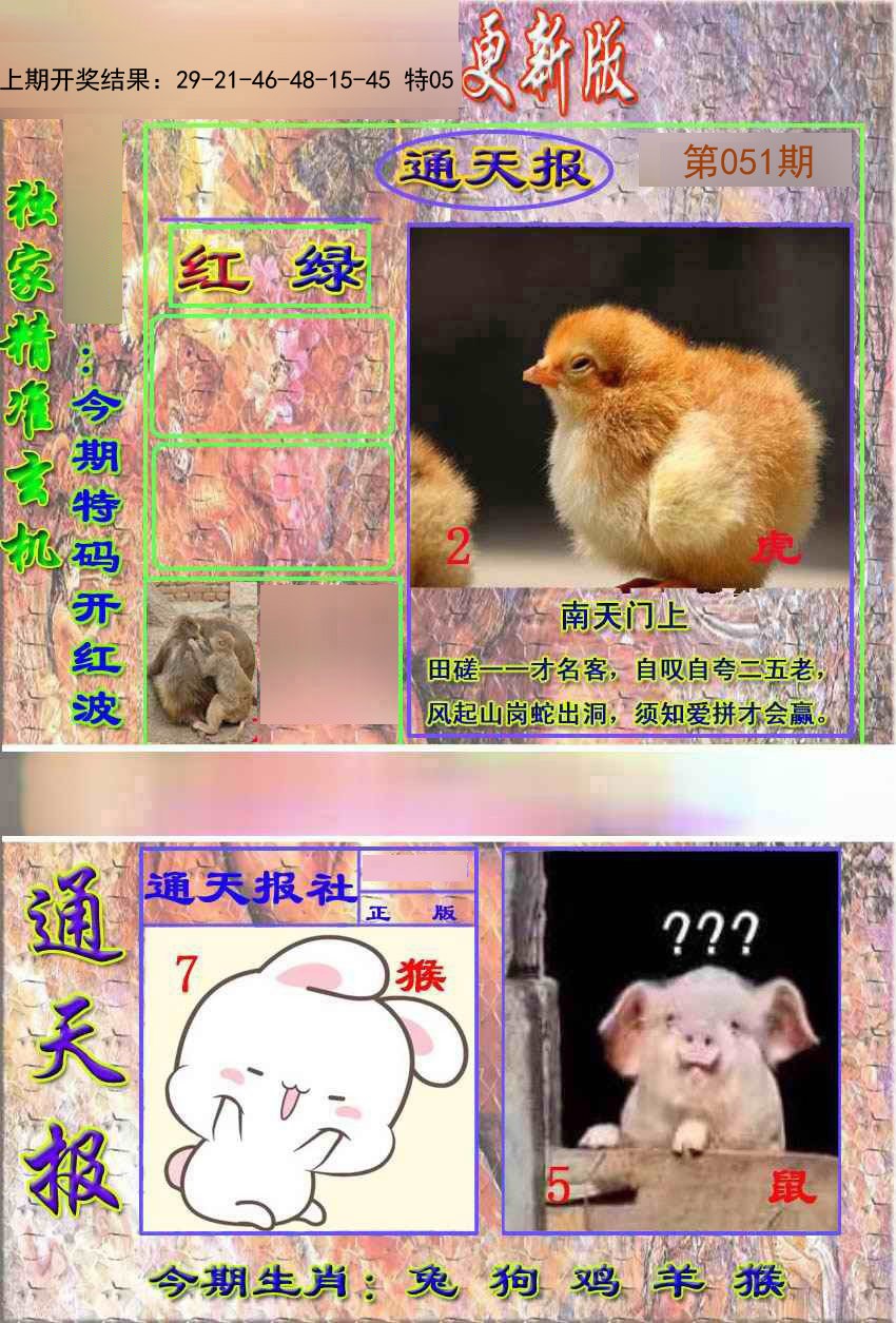 2025051期新通报