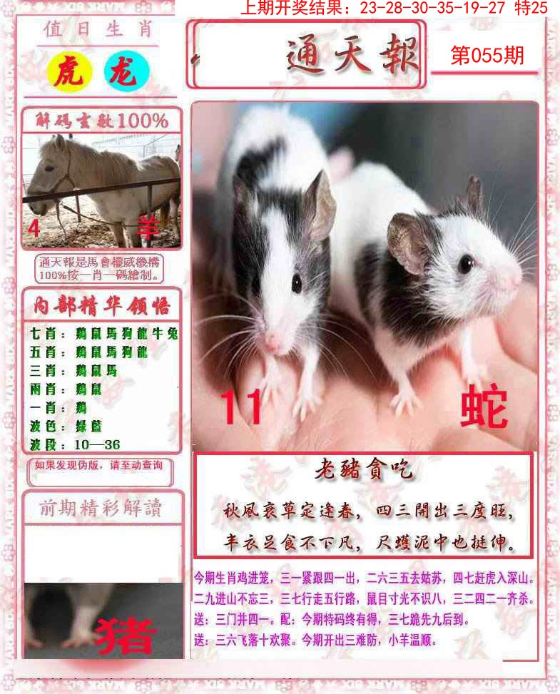 2025055期马经通天报