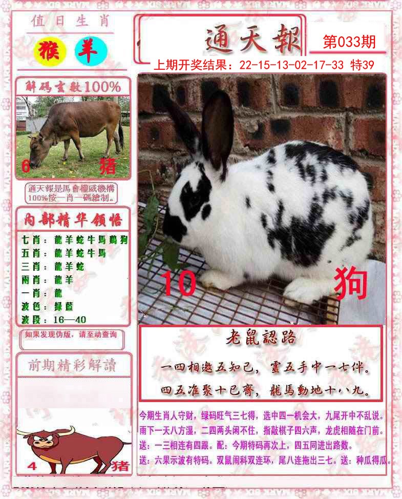 2025033期马经通天报