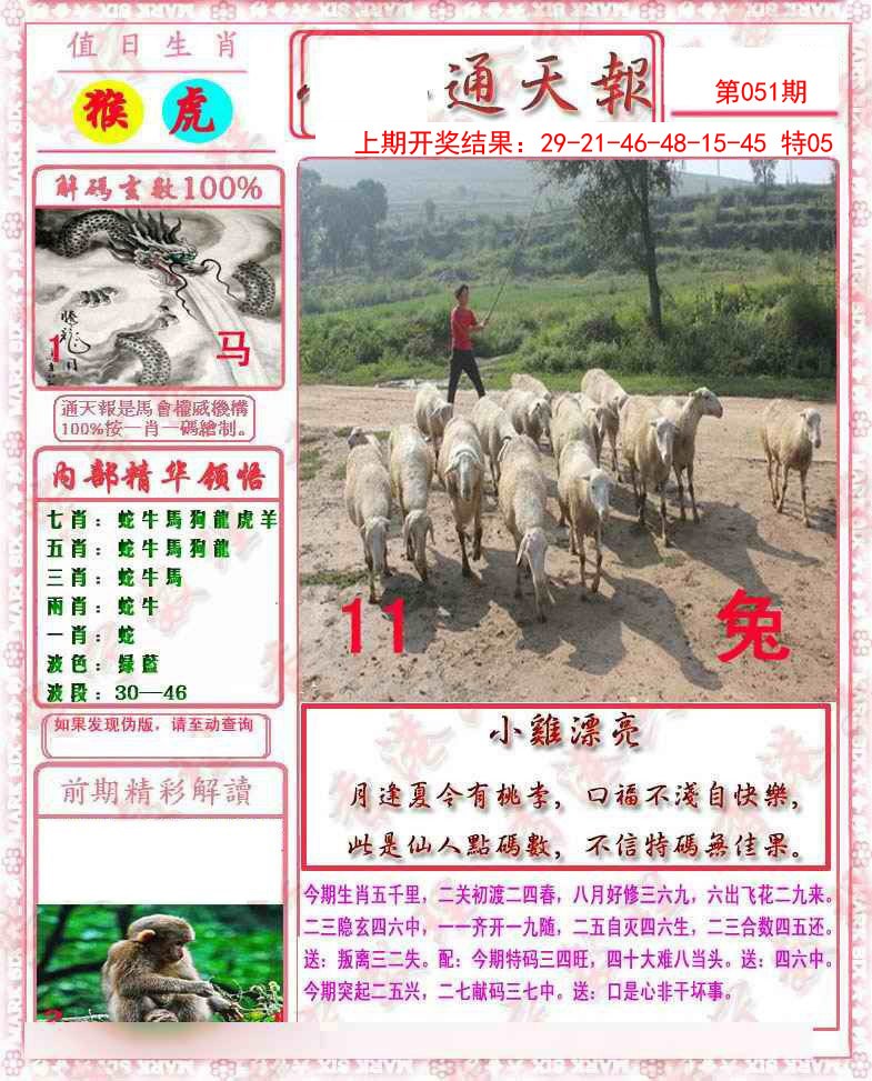 2025051期马经通天报