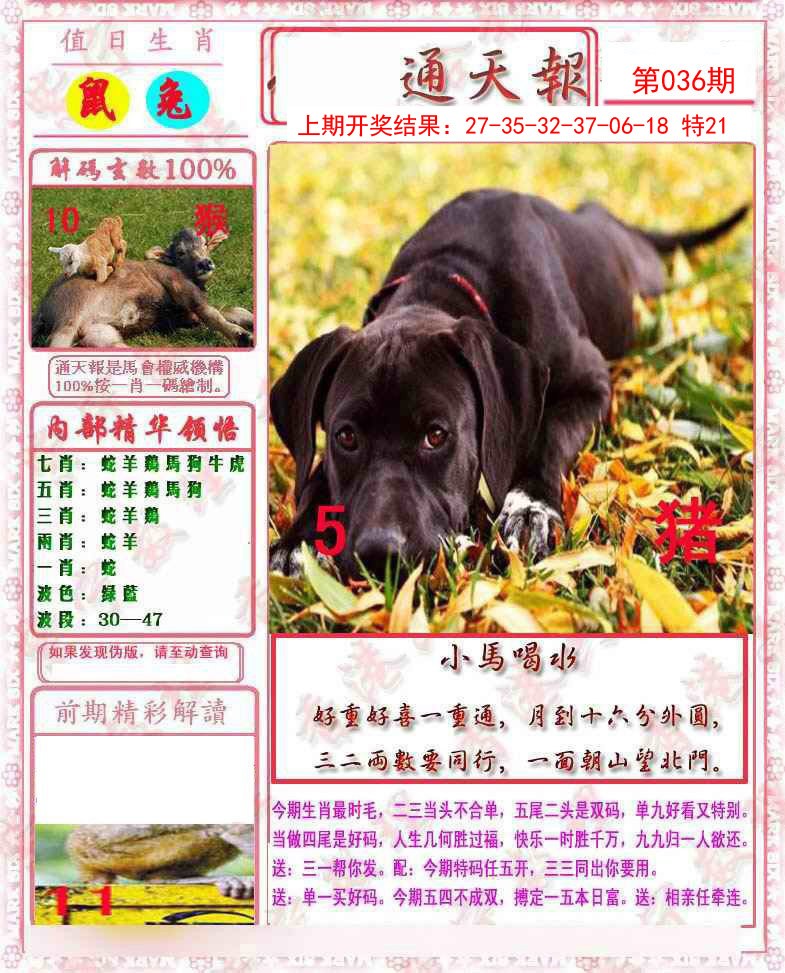 2025036期马经通天报