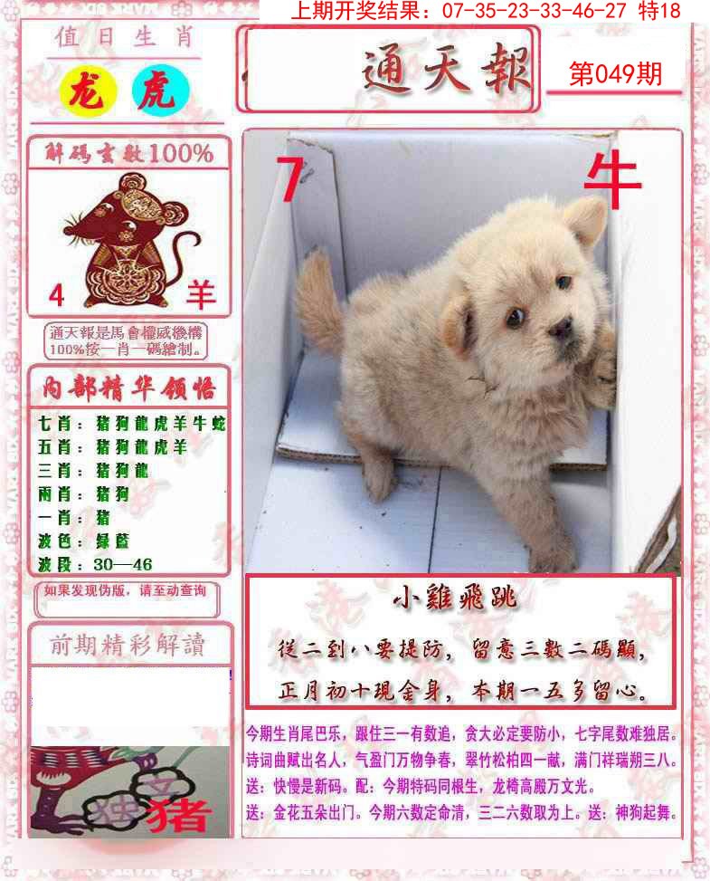 2025049期马经通天报