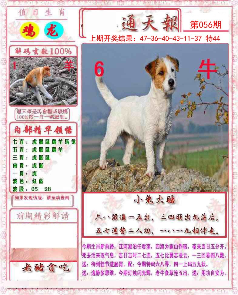 2025056期马经通天报