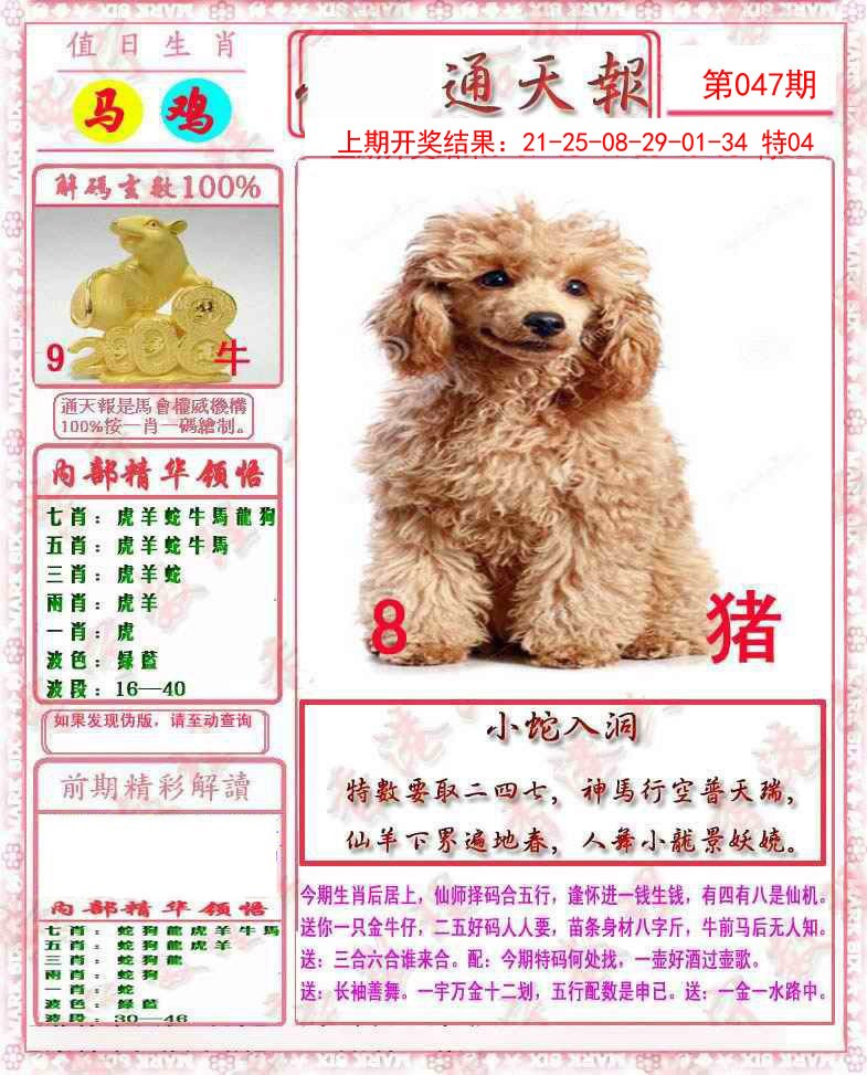 2025047期马经通天报