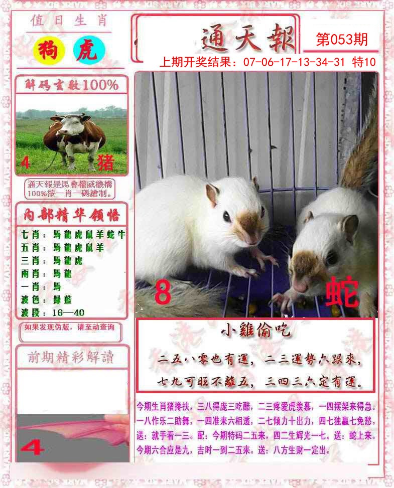 2025053期马经通天报