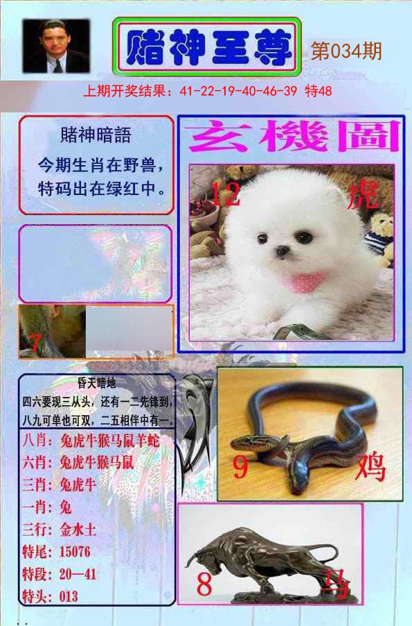 2025034期赌神至尊