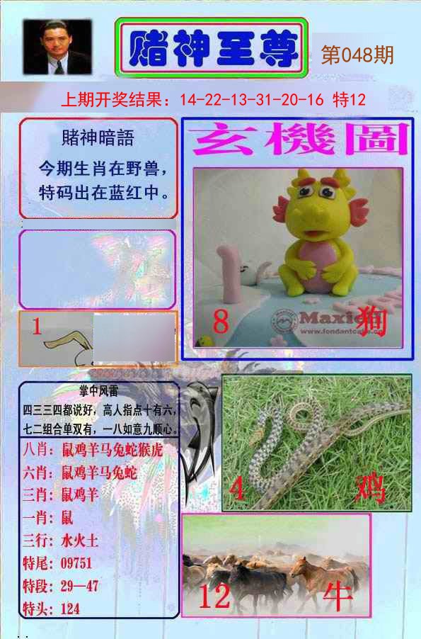 2025048期赌神至尊