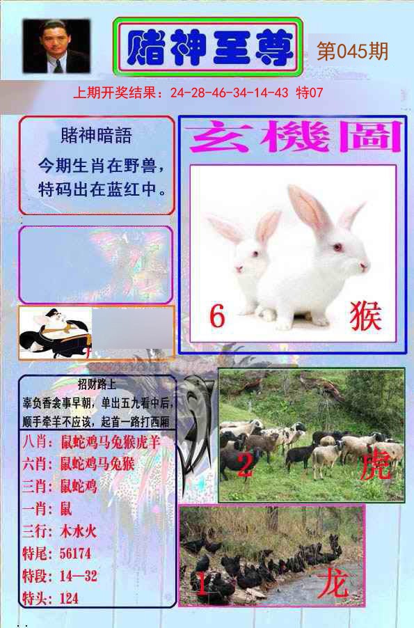 2025045期赌神至尊