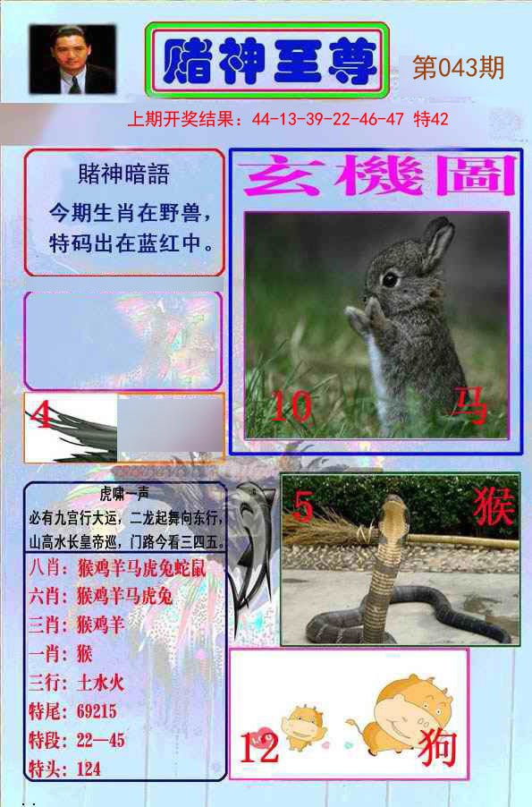 2025043期赌神至尊