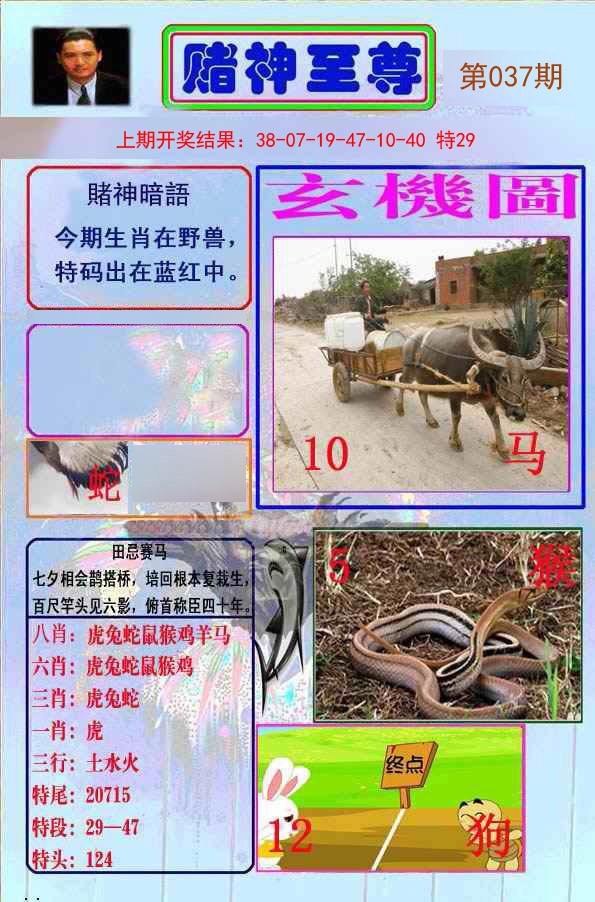 2025037期赌神至尊
