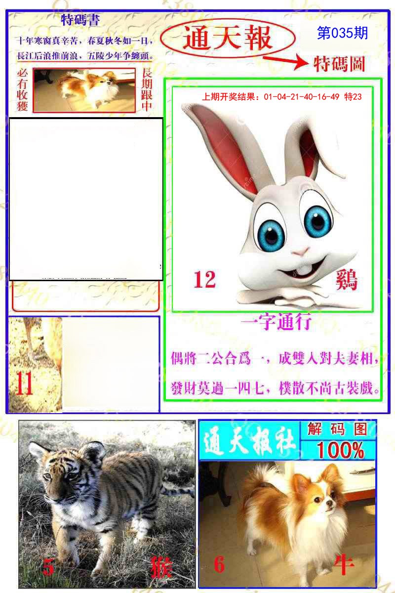 2025035期通天特解图