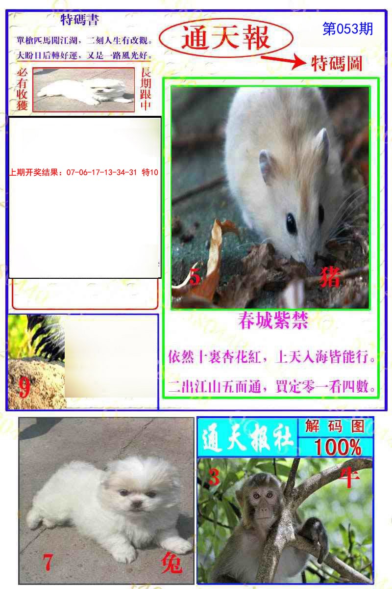 2025053期通天特解图