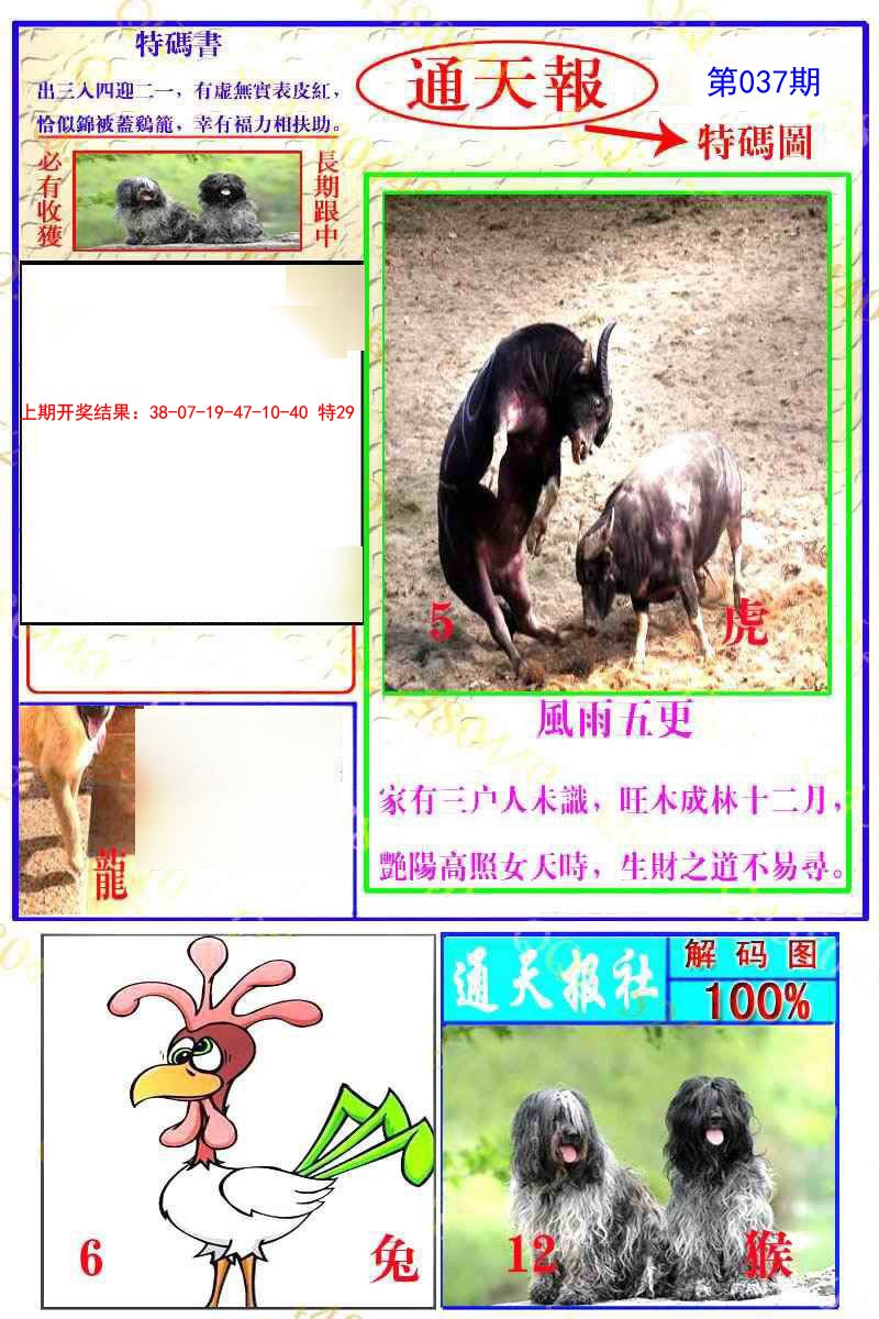 2025037期通天特解图
