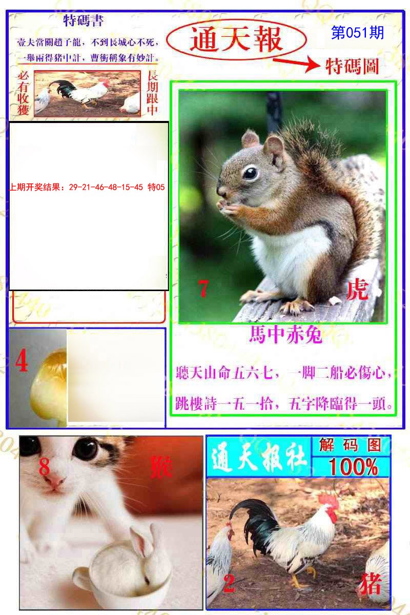 2025051期通天特解图
