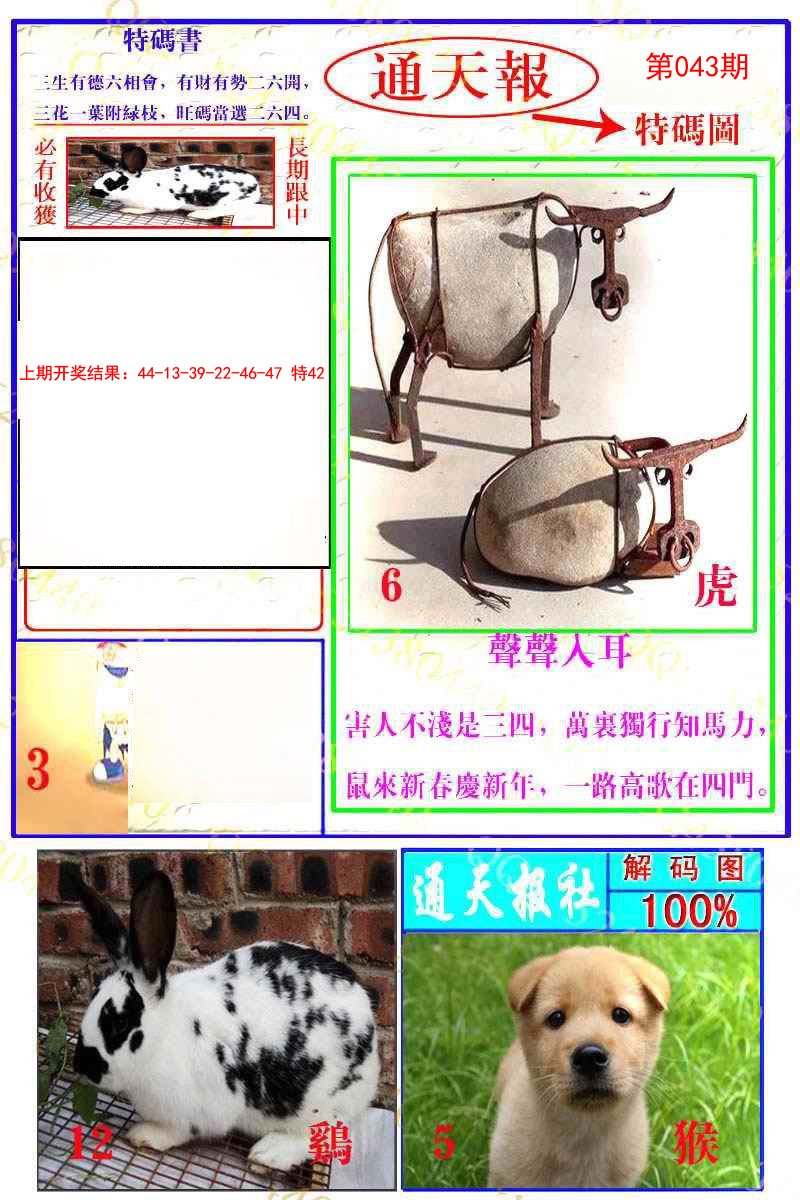 2025043期通天特解图