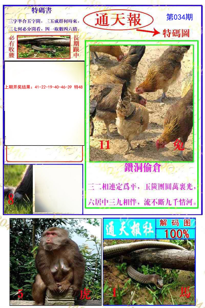 2025034期通天特解图