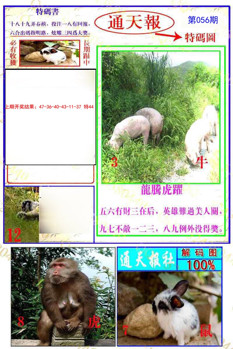 2025056期通天特解图