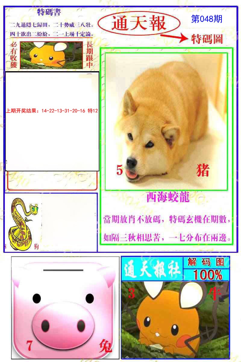 2025048期通天特解图